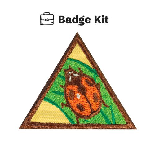 GSWW BROWNIE BUGS SINGLE BADGE KIT