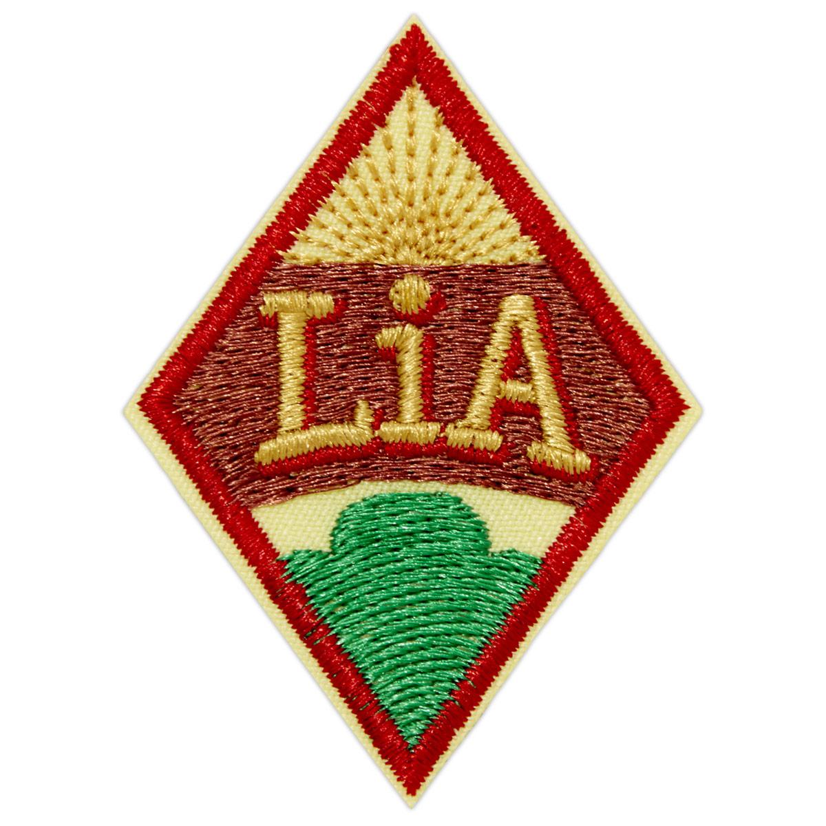 Cadette Leader In Action (LiA) Journey Award Girl Scout Shop