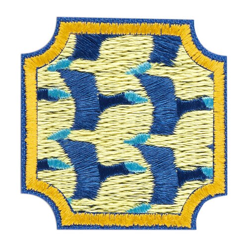 Ambassador Citizen Scientist Award