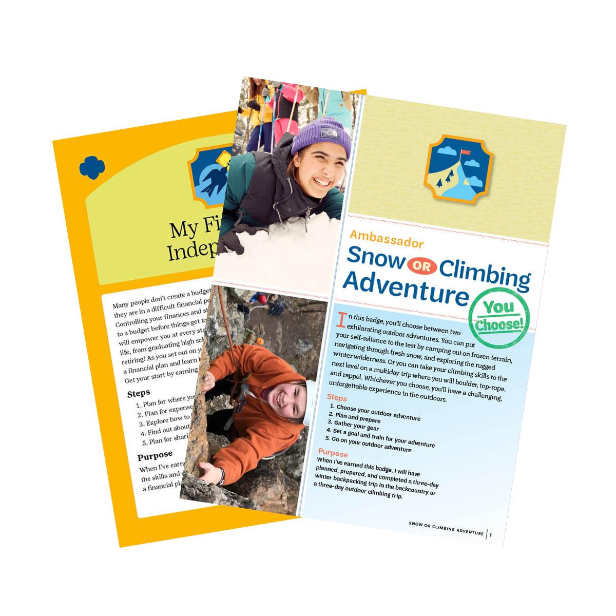 Ambassador Year 2 Essential Badge Requirements Bundle Girl Scout Shop