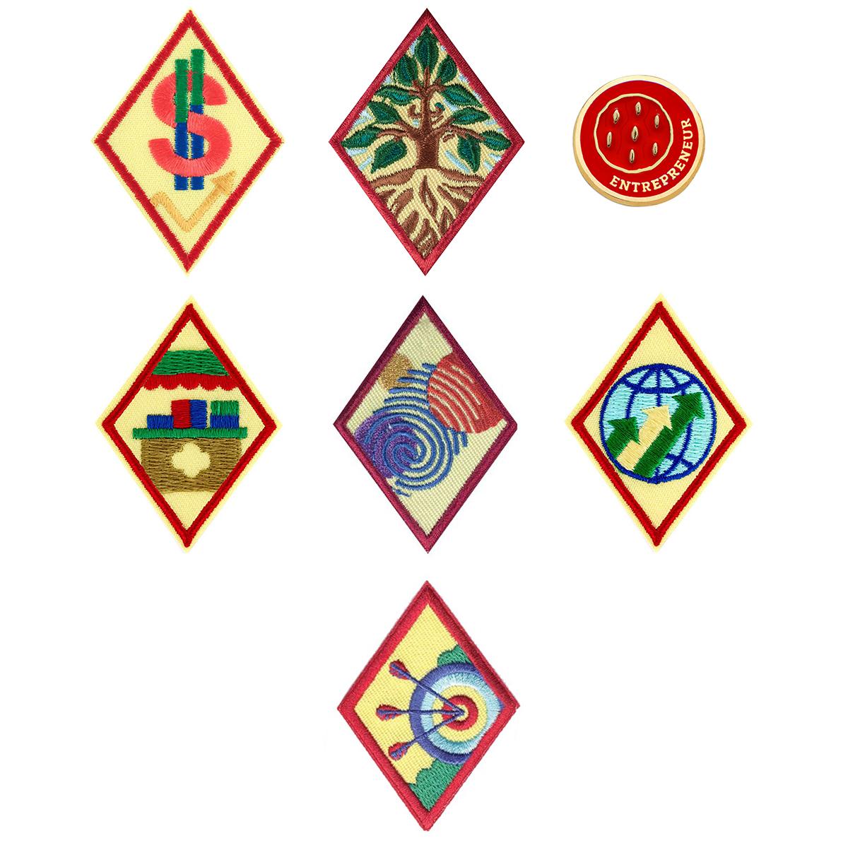 Cadette Year 3 Essential Badge Bundle Girl Scout Shop