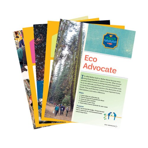 Ambassador Year 2 Multilevel Troop Badge Requirements Bundle Girl